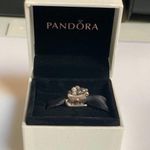 Pandora Santa’s Sleigh Charm Photo 0