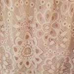 Dress the Population  River Lace Off the Shoulder Fit & Flare Dress Blush L NWOT Photo 7