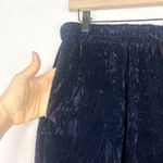 Earthbound Trading Velvet Wide Leg Pants Size Large Pull On Dark Purple Pockets Photo 3