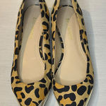 Enzo Angiolini  Leopard Print Flats with Gold Accents Photo 0