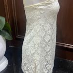 Smart & Sexy Vintage sleepwear stretch transparent lace nighty Lace Chemise Photo 1