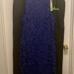 Sam Edelman Dress Photo 0