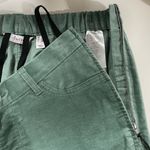 Denim & Co New Adaptive Wheelchair Fit Velveteen Pants Spruce Green Size 10 Photo 12