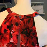 Jack by BB Dakota B B Dakota Photo 3