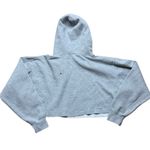 Brandy Melville  John Galt Grey Cropped Oversized Newport Beach Hoodie One Size Photo 3