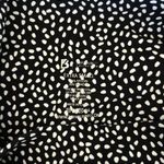 Buffbunny Legacy Shorts Photo 2