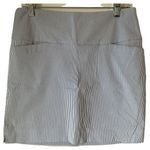 SC & Co Skort size medium blue and white pin stripes Photo 0