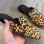 Birdies Leopard Print Calf Hair Mule Loafers – Size 8 Photo 0