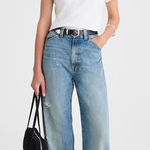 Madewell The Balloon Barrel Jean in Dobbins Wash Size 23 Photo 0