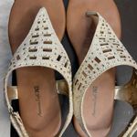 American Eagle Gold Sandals Photo 1
