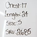 American Giant Women's Vintage Crew Size S Made In USA Blue Photo 5