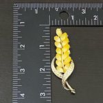 Vintage Unsigned Yellow Wheat Gold Photo 6
