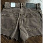 PacSun  Vintage High-Rise Shorts Photo 1