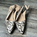 Franco Sarto Vickie Slingback Vanilla Snake Print Block Heel Sandal 9.5 🔥 Photo 1