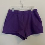Aritzia TNA Cozy Boyfriend Fleece Purple Shorts Photo 0