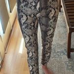 Urban Outfitters Snake Print Women's Pants Photo 1