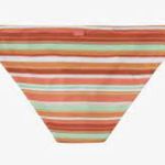 Roxy Bottoms Bikini PT Beach Classics Full Coverage in Baked Clay Strip Photo 3