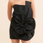 Bardot  Mini Dress Photo 0