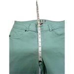 Elle  Paris Foam Green Capri Pants Sz 6 Photo 5