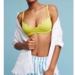 Anthropologie  Lilka Blue Striped Shorts Photo 1