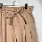 ZARA Beige Pink Pleated High Rise Wide Leg Paperbag Pants 4 Photo 2