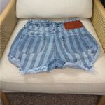 One Teaspoon  Shorts Photo 3