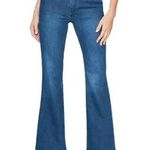 Paige  Genevieve Flare With Folded Waistband & belt in Cecilia Photo 0