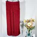 CP Shades Sausalito Textured Jacquard Rayon Pants Red Wide Leg Womens Small💚 Photo 1