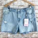 Avec Les Filles  Distressed Cutoff Jean Shorts Size 31 NWT Photo 0