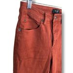 OAT New York High Waist Skinny Ankle Brown Size 28 Photo 0