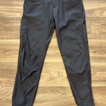 prAna  Women’s Halle Dark Gray Cargo Pants Size 6R Photo 0