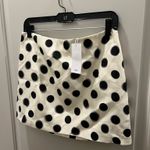 Mango  Polka Dot Mini Skirt Photo 1