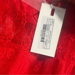 Endless Rose  Red Body Con Lace Dress, New with Tags, Size Large Photo 3
