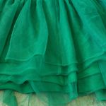 Spirit Halloween Green adult tutu skirt in size adult small/medium Photo 9