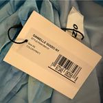 Danielle Guizio  Blue Floral Dress Photo 4