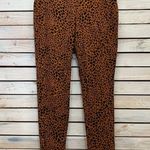 Lands End 508039 Caramel Leopard Mid Rise Knit Leggings Lounge Active Mob Sz S/T Brown Photo 2