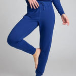 Negative Underwear Club Jogger in Royal, Size Small Photo 0