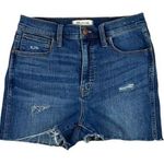 Madewell Roadtripper biker jean shorts Photo 0