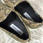 Steve Madden  Slip On Snake Print Python SYMBA Platform Sneakers Photo 1