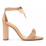 Alexandre Birman  Nude Clarita Ankle Tie High Block Heel Sandals 42 Photo 2