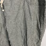 Anthropologie  Seashore Linen Blend Pants Green/White Lagenlook size 3X Photo 3