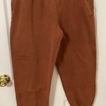 Hollister  Women's Rust Joggers Photo 0