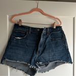 Abercrombie & Fitch  Curve Love High Rise Mom Short 30/ US 10 Photo 1
