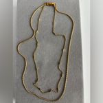 Jenny Bird NWOT  Double Layer Gold Necklace Photo 1