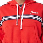 Juicy Couture Juicy by  Cropped Hoodie Large Photo 2