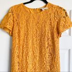 Loft Mustard Yellow Lace Short Sleeve Dress Photo 3