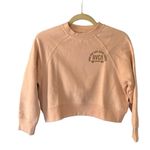 RVCA  Good Times Crewneck Sweatshirt blush Pink Size XS Photo 6