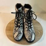 Madden Girl  Dillan Snake Skin Heeled Combat Lace Up Boots Size 10 Photo 7