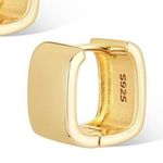 Chunky Gold Square Hoop Earrings For Women Photo 6