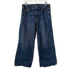 American Eagle  Stretch Low Rise Baggy Wide Leg Jeans Raw Hem Size 8 Short Grunge Photo 0